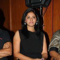 Anjali at Journey Audio Launch Pictures | Picture 127210